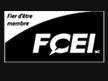 FCEI