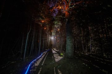 URA experience foret