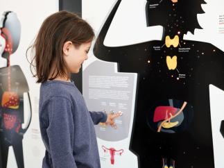 Health museum Armand Frappier Permanent exhibition