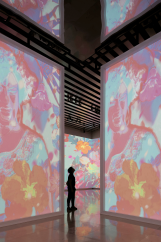 Museo International del Barroco video projections